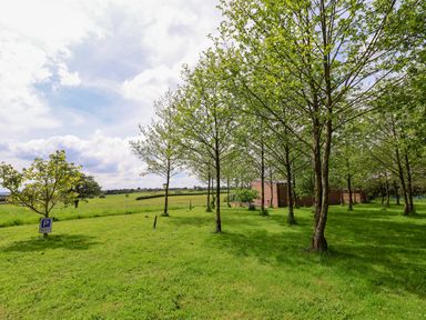 A grassy outdoor area with rows of trees and a wooden shed at Holmside in Audley Brow near Market Drayton