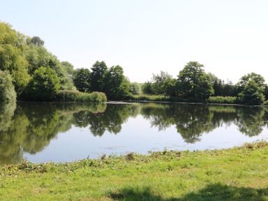 A lake surrounded by trees and grass at Holmside Audley Brow near Market Drayton