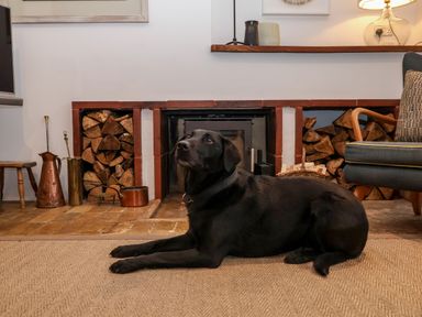 A black dog lying on a carpet in front of a fireplace with stacked firewood at Beta Cottage in Walberswick