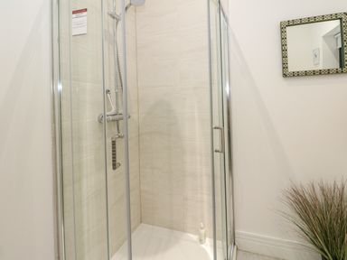 A shower enclosure with glass doors a wall-mounted showerhead a soap dispenser a decorative framed mirror and a plant at 2 Strathtay Lodges Aberfeldy