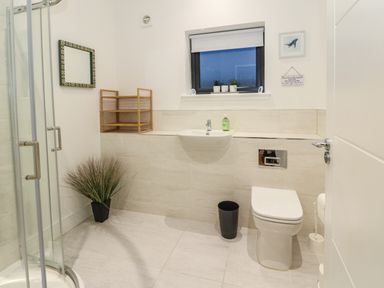 A bathroom with a toilet a sink a shower a mirror a trash bin and a small shelf at 2 Strathtay Lodges Aberfeldy