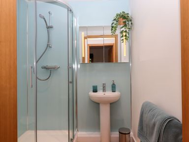 A bathroom with a glass shower enclosure a pedestal sink a mirror a hanging plant and a towel on a rail at South Holm in Moreleigh