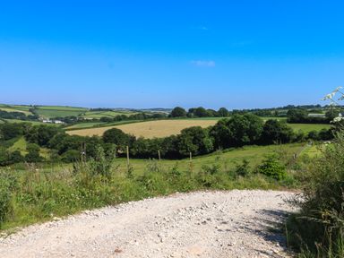 A dirt road leading through green fields and trees under a clear blue sky at South Holm in Moreleigh