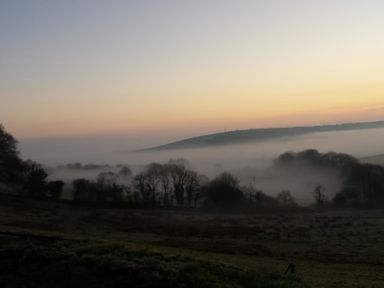 A landscape with trees and fog covering fields at dawn at South Holm in Moreleigh