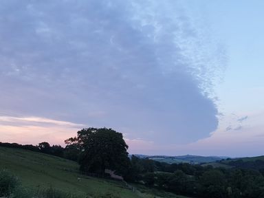 A rural landscape with trees hills and a horse under a partly cloudy sky at South Holm in Moreleigh