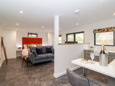 An open plan room with a bed, sofa, side table, kitchen counter with a chair, and two windows at The Gardener's Retreat in Hutton John near Penruddock