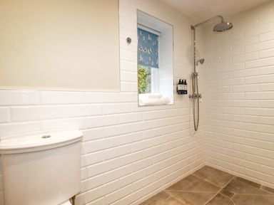 A bathroom with a toilet a walk-in shower with wall-mounted bottles and a window with a blue blind at Tretoil Farm House in Bodmin