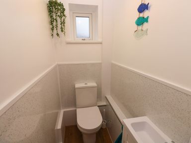 A small bathroom with a toilet a small window a hanging plant a fish wall decoration and a small sink at Swn Y Mor in Burry Port