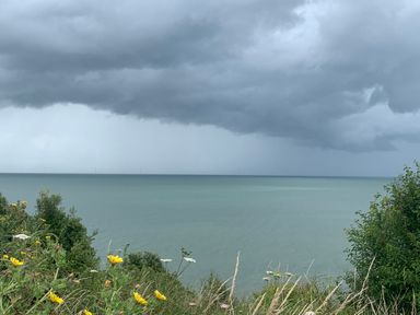 A view of the sea with wildflowers and plants in the foreground and cloudy sky