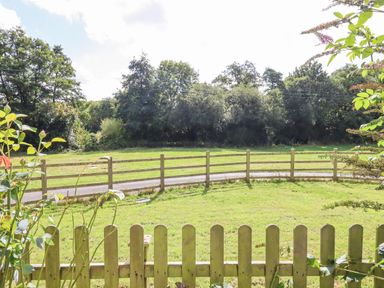 A garden with a wooden picket fence and a larger wooden fence beyond with trees in the background at Culver Court Cottage in Venny Tedburn near Crediton