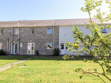 A view of the back of two connected houses with grass and a small tree in the foreground at The Bevan in Bontnewydd Gwynedd