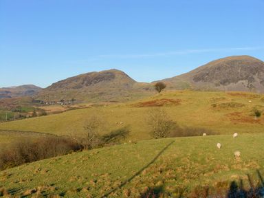 A grassy landscape with hills trees and sheep under a clear sky at The Bevan in Bontnewydd Gwynedd