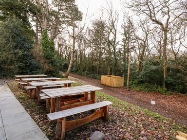 Wooden picnic tables and benches near a forest path with trees at Cadwaladr in Bontnewydd near Caernarfon
