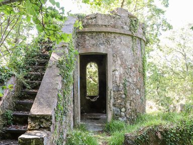 An old stone structure with stairs and an arched doorway surrounded by greenery at Cadwaladr in Bontnewydd near Caernarfon