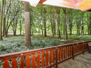 A view of a wooded area with trees and undergrowth from a wooden deck with a railing at Bamboo Retreat in Louth