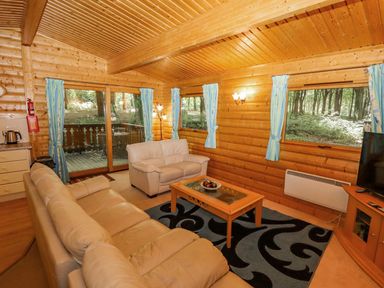 A living room with leather sofas a coffee table a television and blue patterned curtains at Bamboo Retreat in Louth
