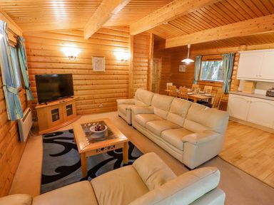 A living room with leather sofas a coffee table a television and a dining area at Bamboo Retreat in Louth