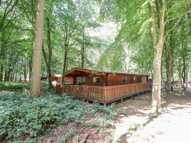 A wooden cabin with a wraparound porch in a forested area with trees at Bamboo Retreat in Louth