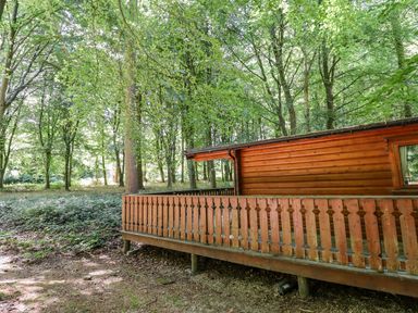 A wooden cabin with a fenced porch surrounded by trees at Bamboo Retreat in Louth