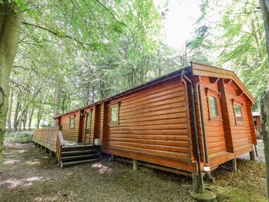 A wooden cabin with steps and railing surrounded by trees at Bamboo Retreat in Louth