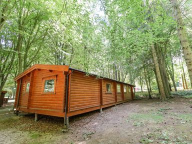 A wooden cabin surrounded by trees in a forest setting at Bamboo Retreat in Louth