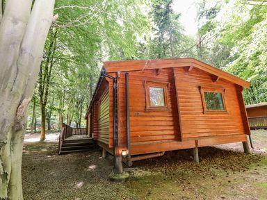A wooden cabin with stairs surrounded by trees at Bamboo Retreat in Louth