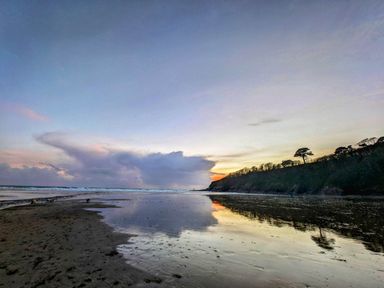 A beach with wet sand reflecting the sky a tree-covered cliff and people walking at Mariners Rest in Gorran Haven