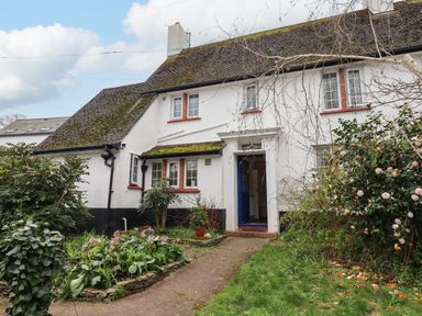 A house exterior with white walls a blue door garden plants and flowers at Greenhedges in Budleigh Salterton