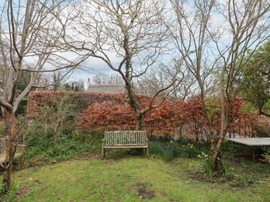 A garden with trees and bushes a wooden bench and a ping pong table at Greenhedges in Budleigh Salterton