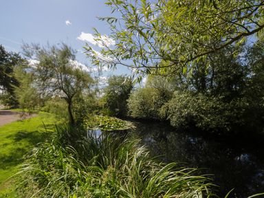 A pond surrounded by trees and grass under a blue sky at The Stables in Droitwich Spa