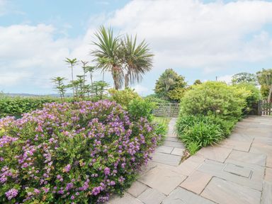 A garden with flowering bushes palm trees and a stone paved path at The Old Dairy in Sarn Bach near Abersoch