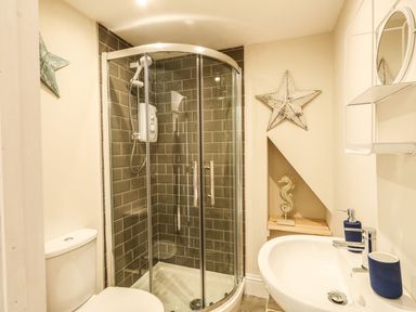 A bathroom with curved glass shower, toilet, sink, star wall decoration, and seahorse sculpture at The Apple Loft at Jordan House in Preston