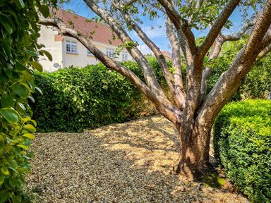 A garden with a tree gravel ground and bushes in front of a house at The Apple Loft at Jordan House in Preston