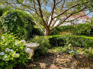 A garden with a large tree a birdbath white flowers and green bushes with a house in the background at The Apple Loft at Jordan House in Preston