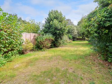 A grassy garden area bordered by various bushes and trees at Brook Cottage in Peasenhall