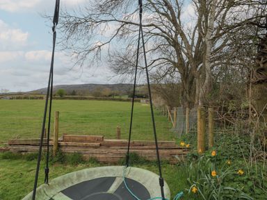 A round swing hanging from a tree with a fenced green field and orange flowers in the background at Harri's Hut in Bishop's Lydeard