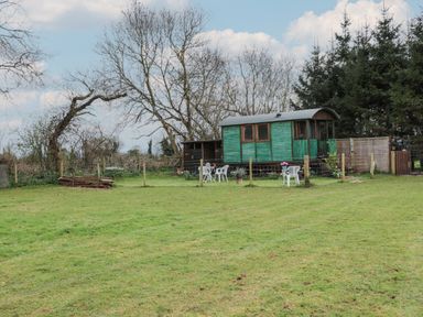 An outdoor grassy area with a green wooden cabin surrounded by trees at Harri's Hut in Bishop's Lydeard