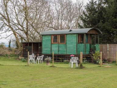 A green wooden hut with windows and a small veranda surrounded by garden chairs and tables in a fenced grassy area at Harri's Hut in Bishop's Lydeard