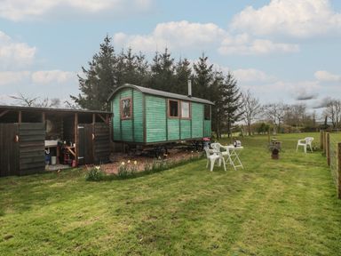 A small green wooden hut on wheels beside an open wooden shed with a sink in a grassy fenced yard at Harri's Hut in Bishop's Lydeard