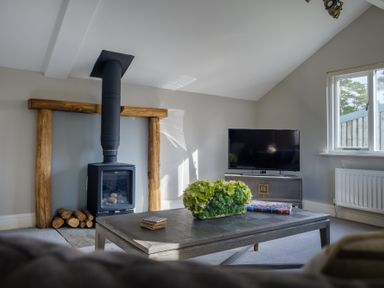 A living room with a wood stove a television on a cabinet and a table with a plant and magazines at Gate House in Killington near Sedbergh
