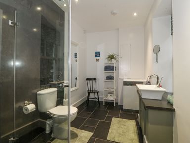 A bathroom with a shower, toilet, and sink at Ty Capel Bethania, Nant Gwynant