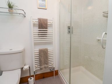 A bathroom with a toilet towel warmer with two towels a shower with a glass door and a plant on a glass shelf at The Nook in North Sunderland near Seahouses