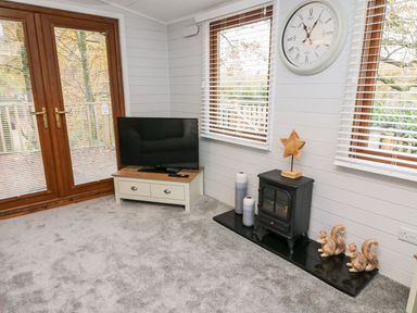 A corner of a room with a television on a low cabinet and a small stove with decorative items on a carpeted floor at Tree View Lodge in Troutbeck Bridge