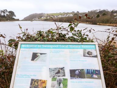A signboard with information about Swanpool Local Nature Reserve near a body of water with houses and trees in the background at Lakeside in Falmouth