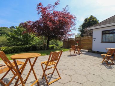 An outdoor patio with wooden tables and chairs under a red-leaved tree near a white building at Lakeside in Falmouth