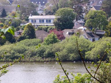 Houses surrounded by trees near a body of water with birds on the water at Lakeside in Falmouth