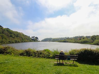 A person sitting on a bench by a river with trees and houses in the background at Lakeside in Falmouth