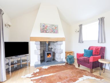 A living room with a stone fireplace and wood burning stove a red armchair a television on a stand and a cowhide rug at The Piggery in LLanfair Talhaiarn near Abergele