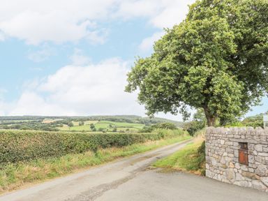 A country road with a stone wall and a tree beside it and hedges and fields in the background at The Piggery in LLanfair Talhaiarn near Abergele