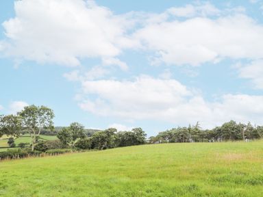 A grassy field with trees and a partly cloudy sky at The Piggery in LLanfair Talhaiarn near Abergele
